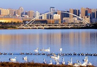 河南郑州字母斯慕圈开封洛阳濮阳焦作信阳绳艺KBSP爱好者社群 河南郑州字母斯慕圈开封洛阳濮阳焦作信阳绳艺KBSP爱好者社群